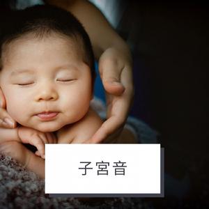 子宮音