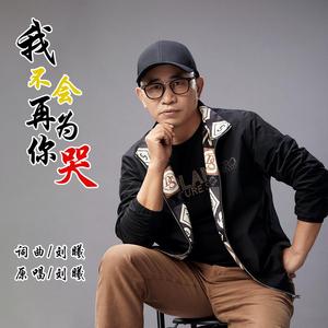 我不会再为你哭
