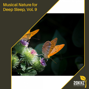 Soothing Rain At Palm Garden