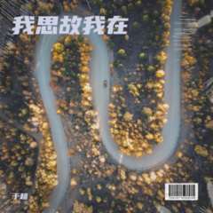 万物皆数