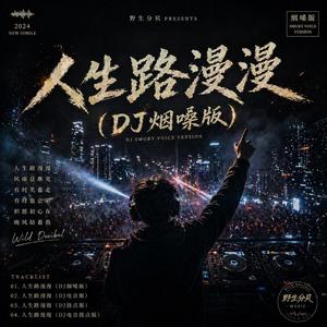 人生路漫漫(DJ烟嗓版)