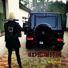 左右摇摆 (DJ环绕版)