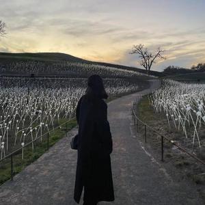 Dusk till dawn（slowed）