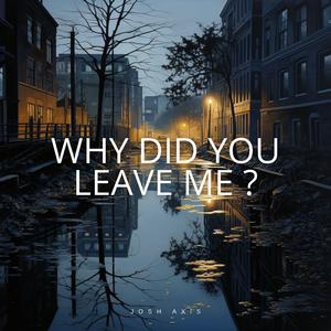 Why did you leave me?