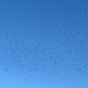 候鸟迁徙的时针裂缝_96khz_24bit 伴奏