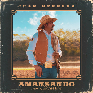 Amansando Un Cimarrón