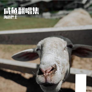 你好不好