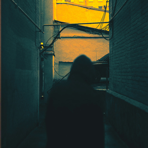 Терменвокс