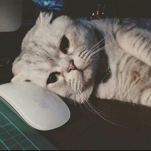 生命的故乡（cover阿云嘎live）