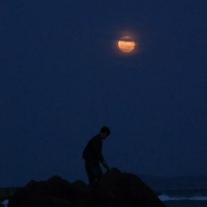 水男（Cover：G2er）