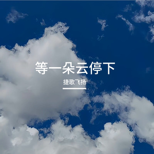 等一朵云停下