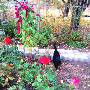 Не принимай во мне участья