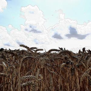 Du som Trodde (Horror Version) (Horror Version)