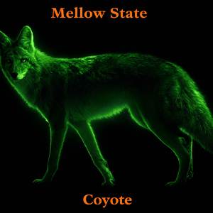 Coyote