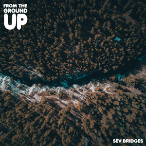 Say what you need to say