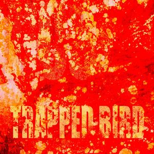 Trapped Bird