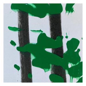 53.8255 N, 101.2476 W