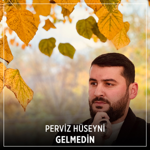 Gelmedin