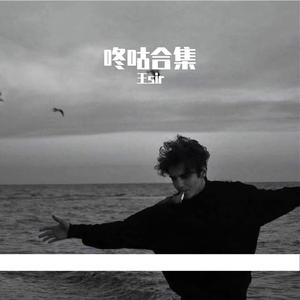 沈园外 2024抖音热播dj（王sir remix）