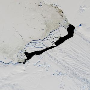 Polynya