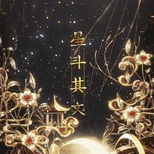 星斗其文（翻自 Smile_小千）