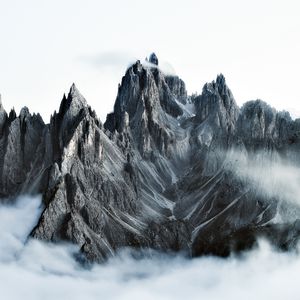 [FREE] Chinese Gunna Type Beat "琴酒"