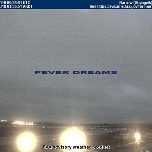 fever dreams (feat. ginseng)