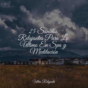 Armonía De Los Cielos