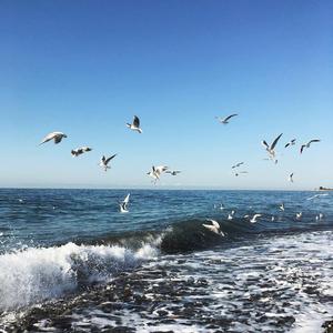 杨千嬅-野孩子（DJ）（明洋 remix）