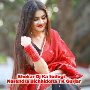 Shokar Dj Ka Todegi