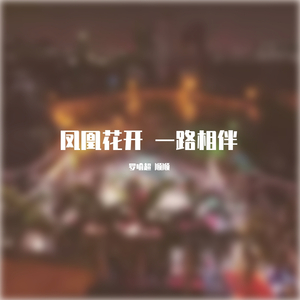 凤凰花开 一路相伴