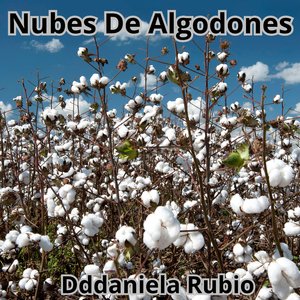 Cielo Alegre