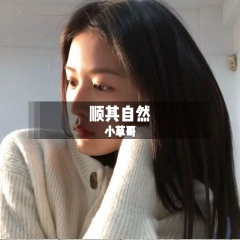 极品慢摇 (DJ版)