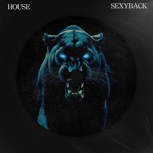 SEXYBACK (HOUSE)