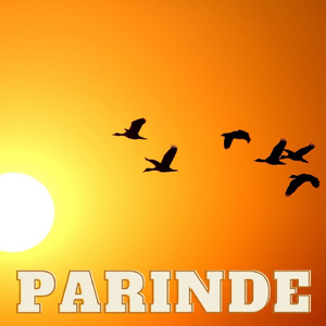Parinde