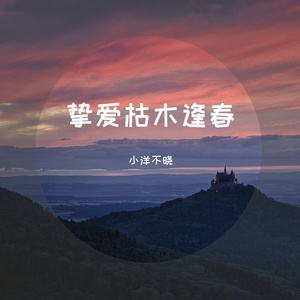 我在昨天的梦里又看见了你