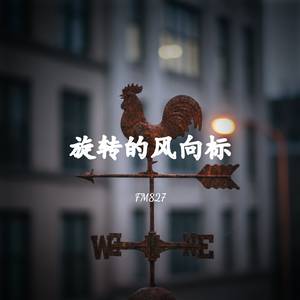 旋转的风向标