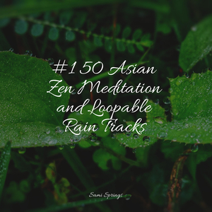 Forest, Night, Frogs