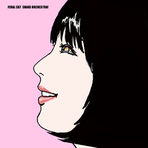 頭の黒い鼠の仕業