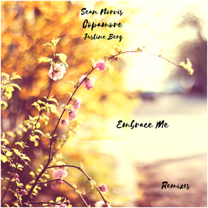 Embrace Me (Copamore Radio Edit)