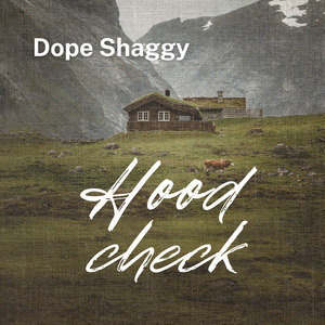 Hood Check