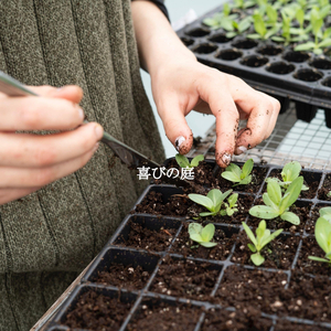 Outstanding Moods for Dazy Days