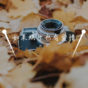 如果蜗牛也有爱情