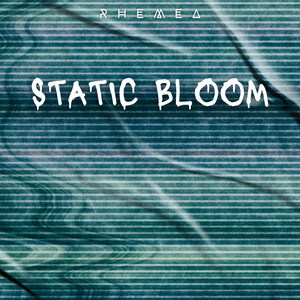 Static Bloom