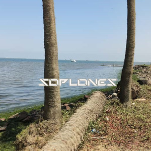 soplones