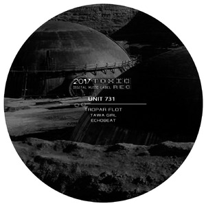 Unit 731 (Tawa Girl)