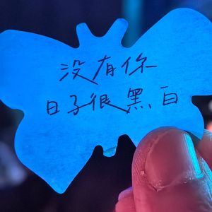专属于我的地方