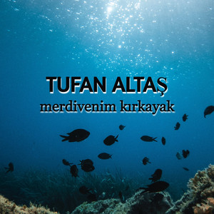 Merdivenim Kırkayak