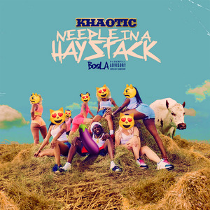 Needle in a Haystack