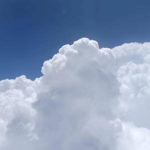 本当に大好き_20220415_210407